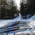 Skitesten