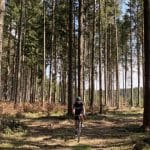 Gravel durch den Wald